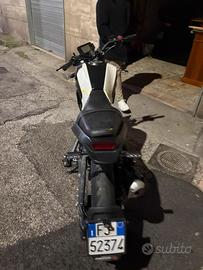 benelli leoncino 125 2024