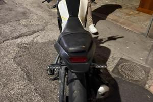 benelli leoncino 125 2024