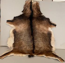 Coppia di tappeti in pelle a pelo lungo