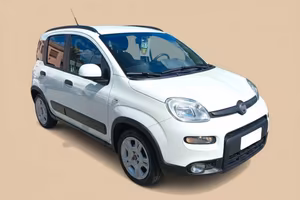 FIAT Panda 3ª serie - Panda 1.0 FireFly S&S Hybrid