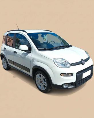 FIAT Panda 3ª serie - Panda 1.0 FireFly S&S Hybrid