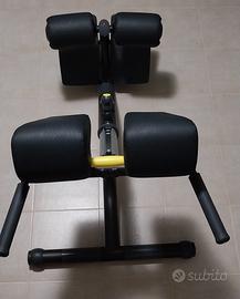 Technogym Lower Back (PREZZO TRATTABILE)