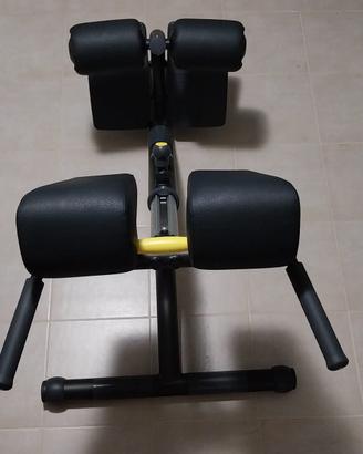 Technogym Lower Back (PREZZO TRATTABILE)
