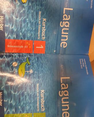 testi per istituti superiori e licei