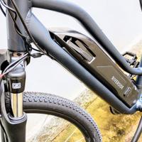 bicicletta elettrica 