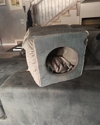 cuccia gatti