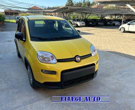 FIAT Panda PANDINA 1.0 Hybrid KM 0