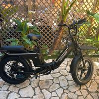 Tesway ebike elettrica/pedalata assistita 