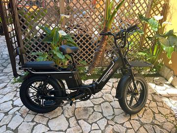 Tesway ebike elettrica/pedalata assistita 