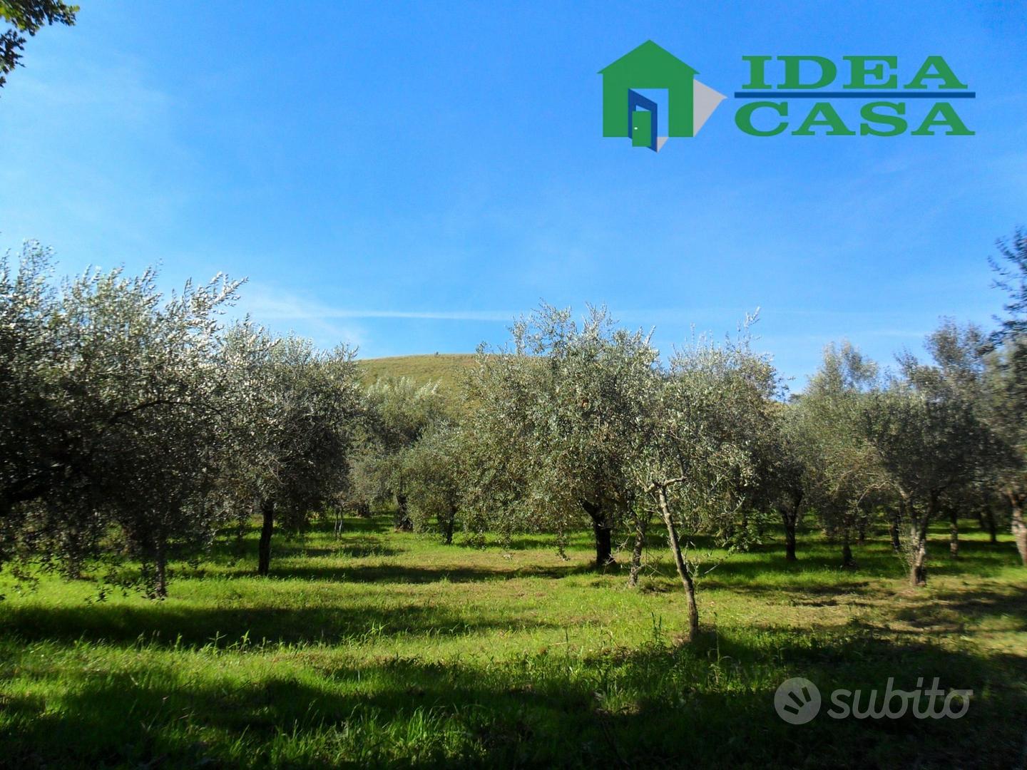 4500mq Terreno pianeggiante - Vista 5