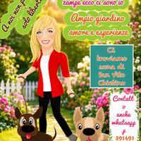 Dog sitter