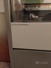 banco vetrina frigo criocabin