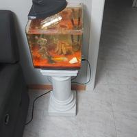 acquario 30 litri