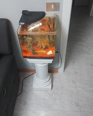 acquario 30 litri