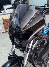 Cupolino per HD Sportster 48