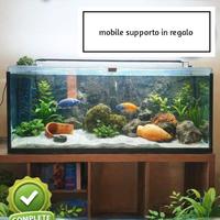 Acquario