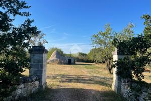CASA DI CORTE A CEGLIE MESSAPICA