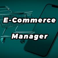 E-commerce Manager - Gestione E-commerce