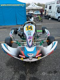 Tony kart 125 Vortex super rok