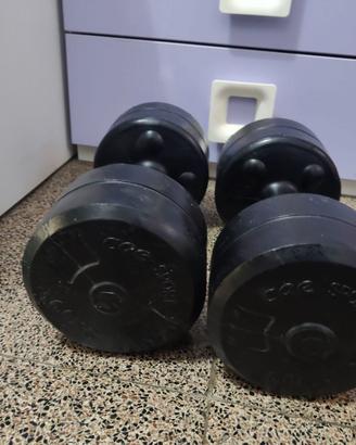 Manubri da 6kg