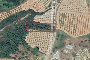 Uliveto mq2192 località "Cornacchia"