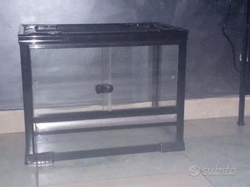 Tartarugiera x tartarughe di terra