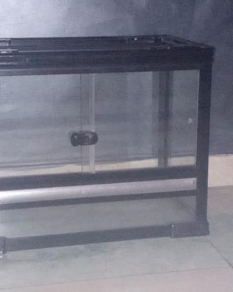 Tartarugiera x tartarughe di terra