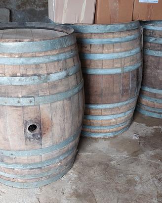 botti barrique in rovere 