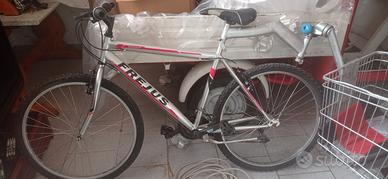 mtb con carrello 