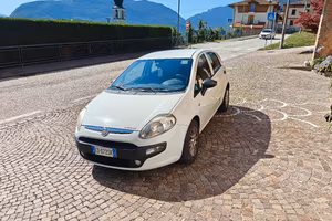 Fiat Punto Evo neopatentati 