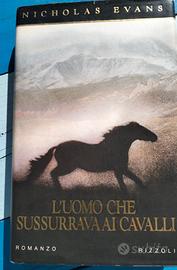 L'uomo che sussurrava ai cavalli 