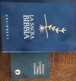 La sacra bibbia e Il nuovo Testamento 