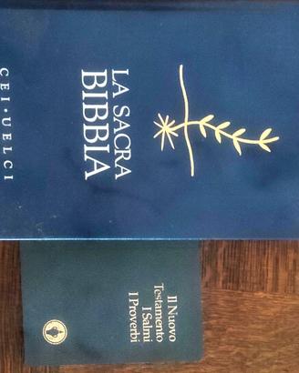 La sacra bibbia e Il nuovo Testamento 