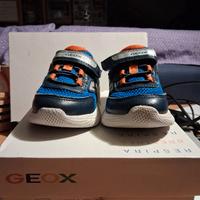 Sneaker Geox bimbo n.24