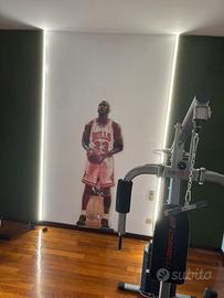 Cartonato jordan