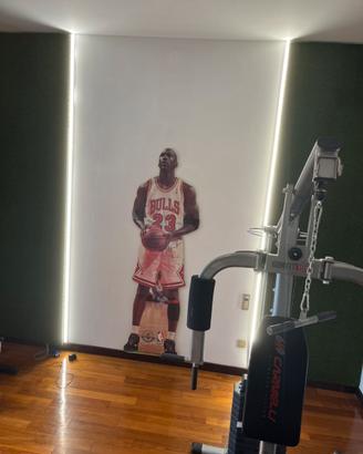 Cartonato jordan