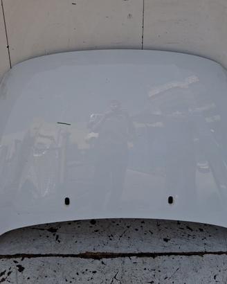 1815874 COFANO ANTERIORE FORD C-MAX II (DXA-CB7) 1