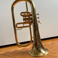 Flicorno B&S