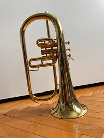 Flicorno B&S