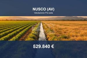 Immobile in asta di 101242 m² a Nusco
