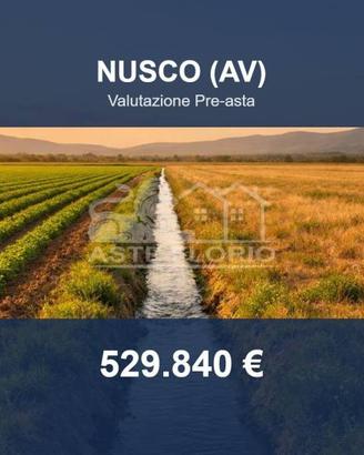 Immobile in asta di 101242 m² a Nusco