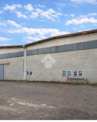 CAPANNONE A BASALUZZO