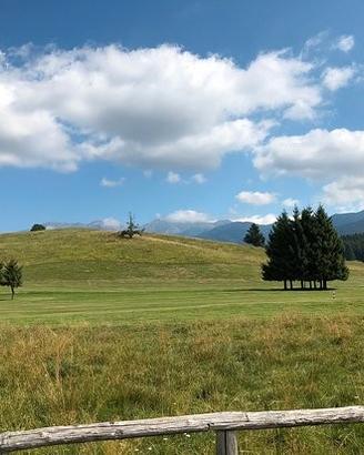 Appartamento a Tambre d'Alpago