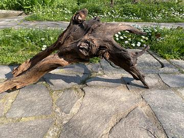 Legno decorativo acquario