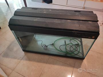 acquario 