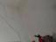 Immagine 23