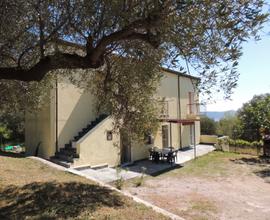 Casa indipendente tra gli ulivi vicino al mare