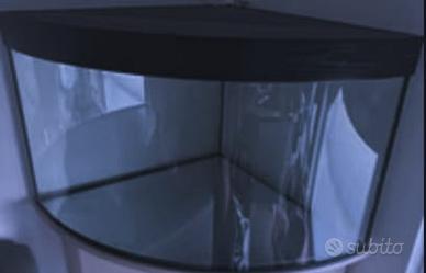 Acquario angolare