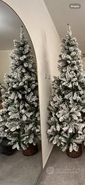 Albero di Natale già innevato