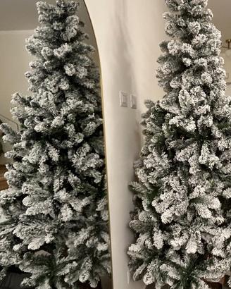 Albero di Natale già innevato